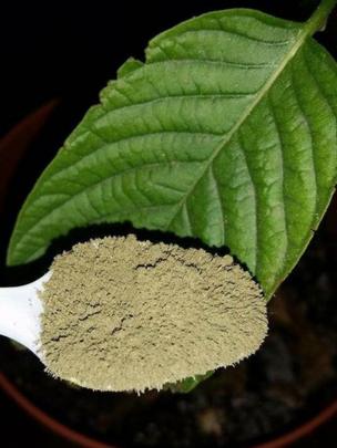 Hoja de Kratom