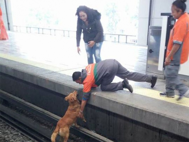 Redes Sociales, muerte, perro, metro, Pantitlán, Facebook